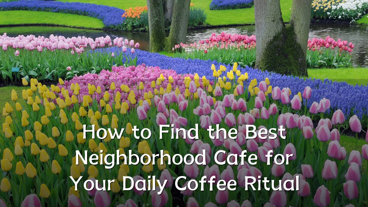 How to Find the Best Neighborhood Cafe for Your Daily Coffee Ritual