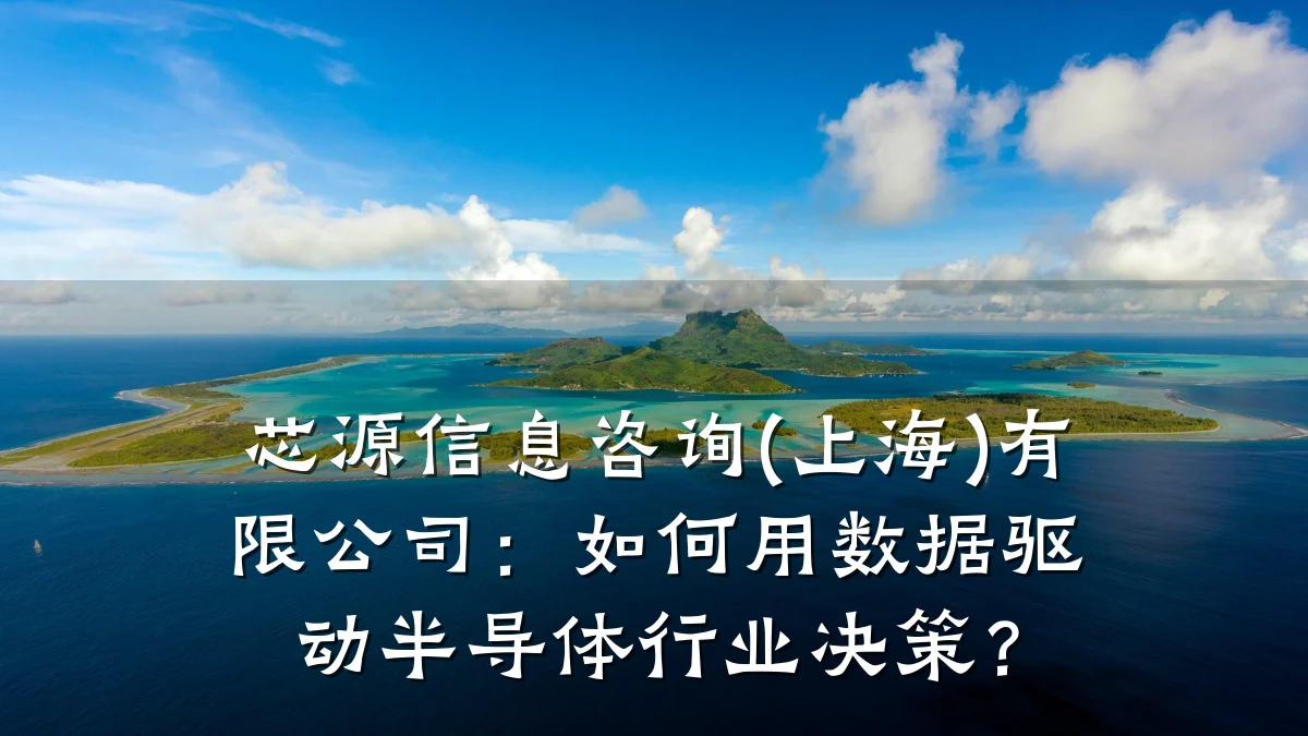 芯源信息咨询(上海)有限公司：如何用数据驱动半导体行业决策？