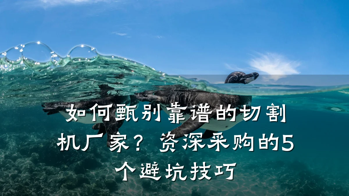 如何甄别靠谱的切割机厂家?资深采购的5个避坑技巧