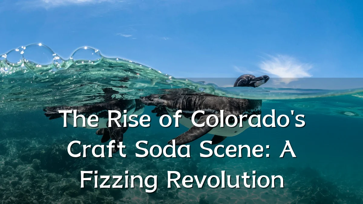 The Rise of Colorado's Craft Soda Scene: A Fizzing Revolution