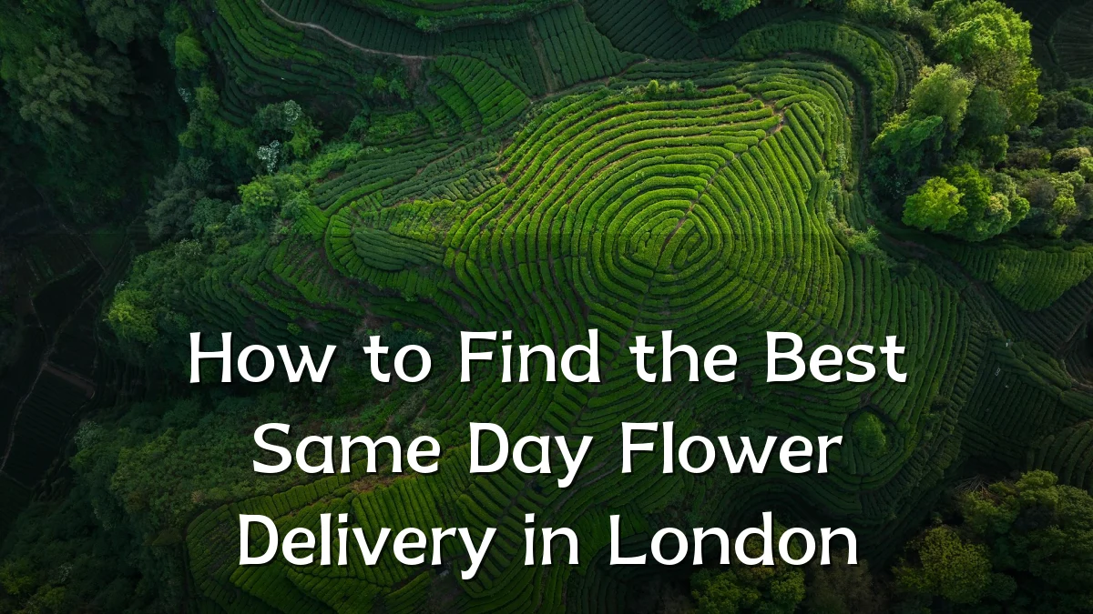 How to Find the Best Same Day Flower Delivery in London