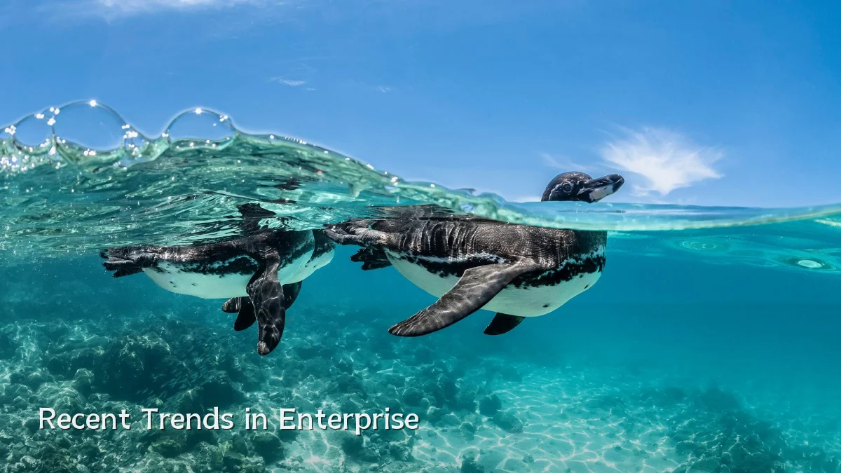 Recent Trends in Enterprise