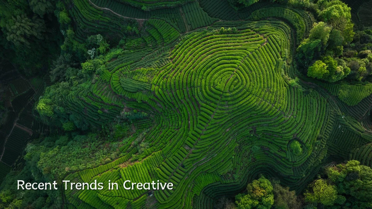 Recent Trends in Creative