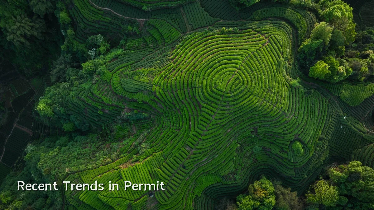 Recent Trends in Permit