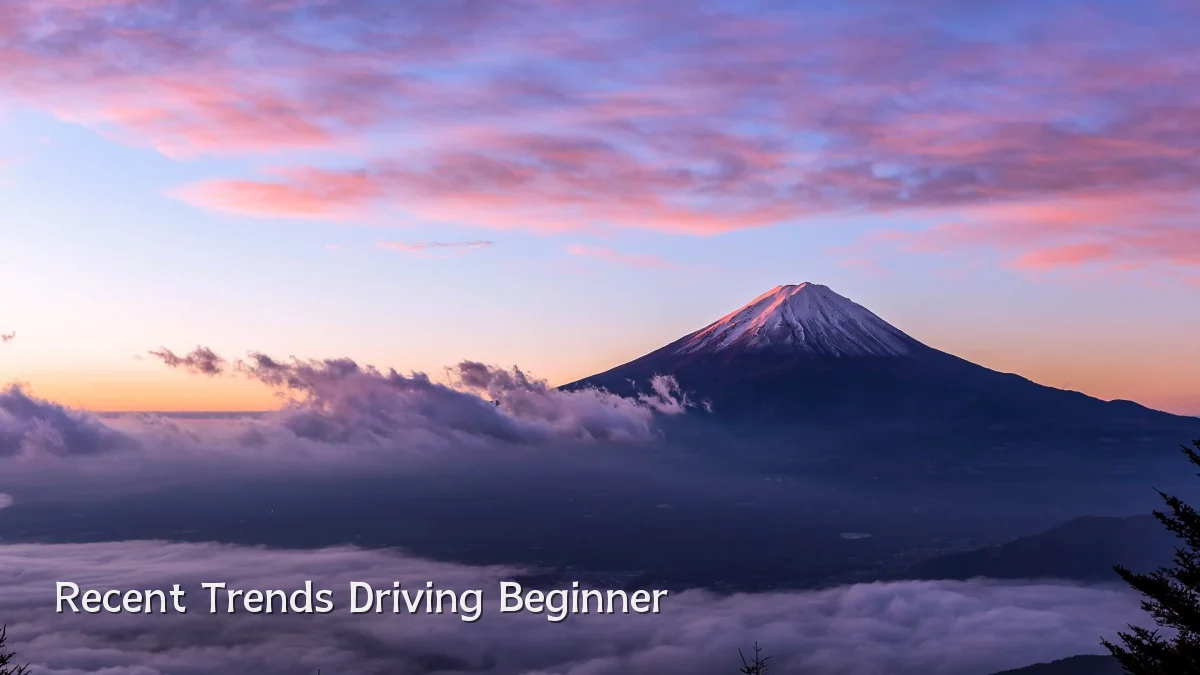Recent Trends Driving Beginner