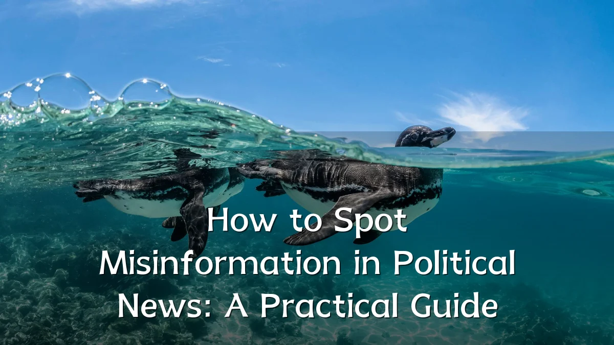 How to Spot Misinformation in Political News: A Practical Guide