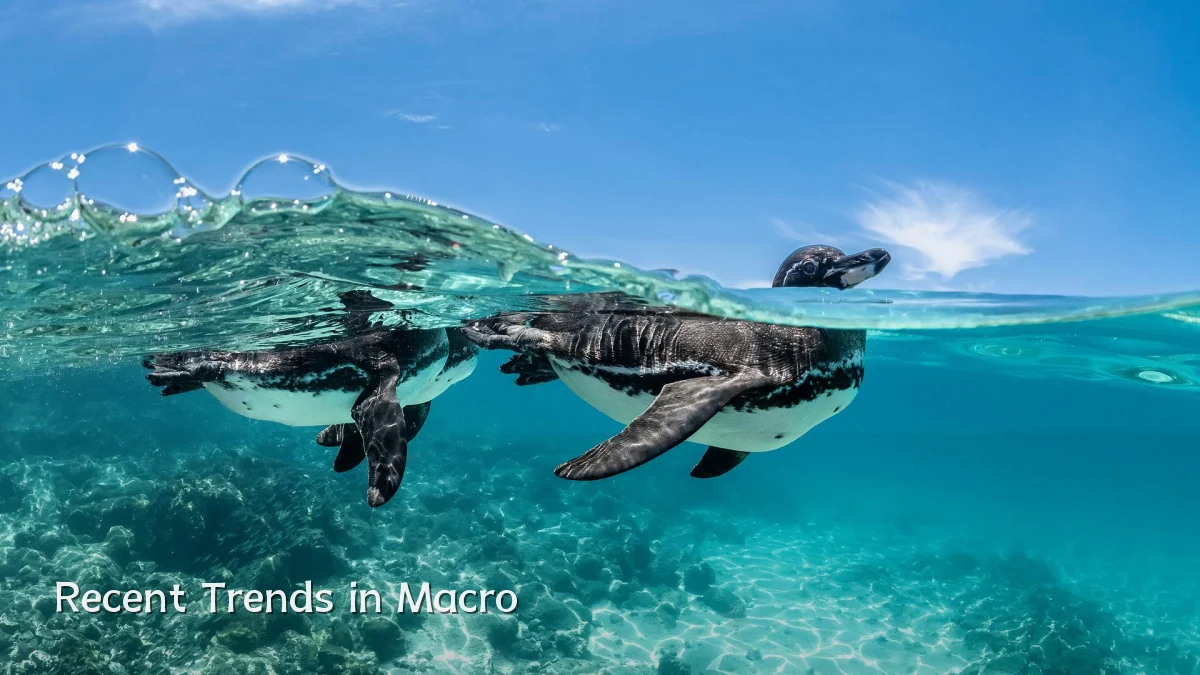Recent Trends in Macro
