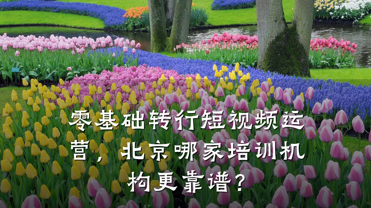 零基础转行短视频运营,北京哪家培训机构更靠谱?
