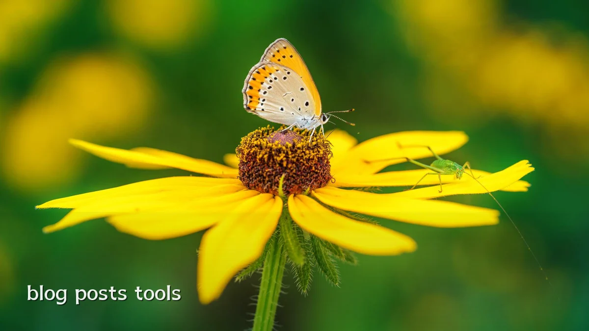 blog posts tools