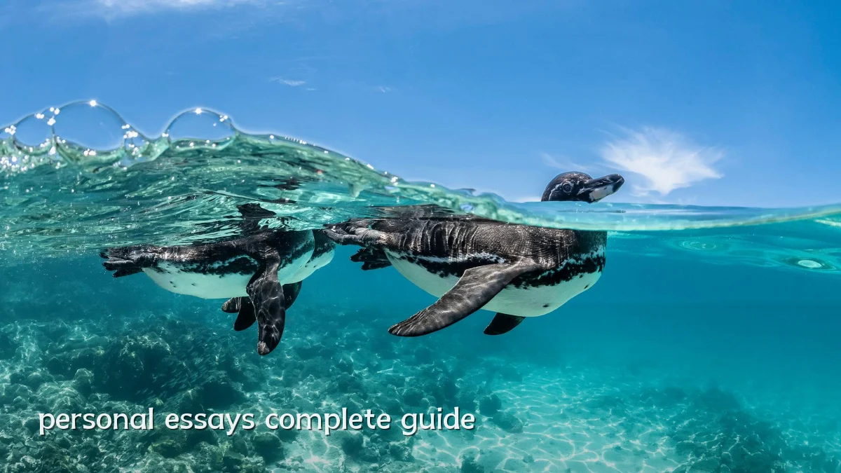 personal essays complete guide